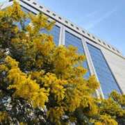 ヒメ日記 2026/03/01 12:27 投稿 まりあ 待ちナビ