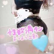 ヒメ日記 2025/12/21 12:27 投稿 ましろ ちょこMOCA