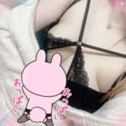 ヒメ日記 2025/12/24 15:47 投稿 ましろ ちょこMOCA