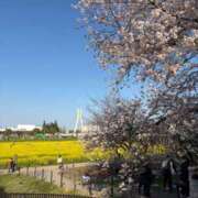 ヒメ日記 2026/04/13 19:58 投稿 まつさか ダイナマイト（鶯谷）