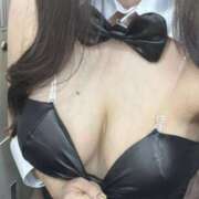 ヒメ日記 2025/12/16 22:20 投稿 ひびき アレグリア