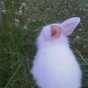 ヒメ日記 2025/12/08 09:48 投稿 あや モアグループ南越谷人妻花壇