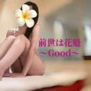 ヒメ日記 2025/12/15 07:30 投稿 前世は花魁(おいらん) GOOD-グッド-