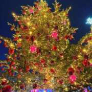 ヒメ日記 2025/12/16 22:00 投稿 あや【性感】 性感エステBianca豊中店