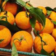 ヒメ日記 2026/01/04 10:45 投稿 あや【性感】 性感エステBianca豊中店