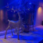 ヒメ日記 2026/03/01 02:00 投稿 あや【性感】 性感エステBianca豊中店