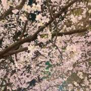 ヒメ日記 2026/03/25 19:00 投稿 あや【性感】 性感エステBianca豊中店