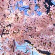 ヒメ日記 2026/04/06 14:00 投稿 あや【性感】 性感エステBianca豊中店