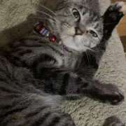 ヒメ日記 2026/03/27 09:49 投稿 にこる 千葉中央人妻援護会