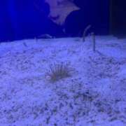 ヒメ日記 2026/03/28 09:59 投稿 にこる 千葉中央人妻援護会