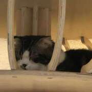 ヒメ日記 2026/03/29 10:49 投稿 にこる 千葉中央人妻援護会