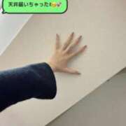 ヒメ日記 2026/09/30 07:19 投稿 RAI TALL