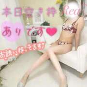 ヒメ日記 2026/02/01 16:19 投稿 れあ 川崎・東横人妻城
