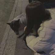 ナギ 珍しいワンちゃんいた バニーコレクション新潟店