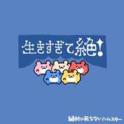 ヒメ日記 2026/05/25 16:36 投稿 むめい コンカフェ×オナクラ あいこねくと