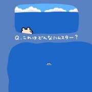 ヒメ日記 2026/06/26 13:49 投稿 むめい コンカフェ×オナクラ あいこねくと