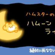 ヒメ日記 2026/07/18 15:25 投稿 むめい コンカフェ×オナクラ あいこねくと