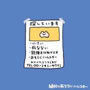 ヒメ日記 2026/07/24 00:02 投稿 むめい コンカフェ×オナクラ あいこねくと