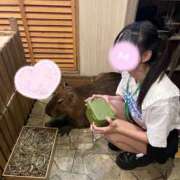 ヒメ日記 2026/08/02 17:13 投稿 むめい コンカフェ×オナクラ あいこねくと