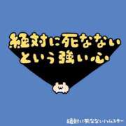 ヒメ日記 2026/08/06 14:51 投稿 むめい コンカフェ×オナクラ あいこねくと
