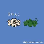 ヒメ日記 2026/08/17 12:01 投稿 むめい コンカフェ×オナクラ あいこねくと