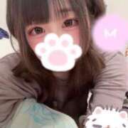 ヒメ日記 2026/08/29 13:57 投稿 むめい コンカフェ×オナクラ あいこねくと