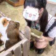 ヒメ日記 2026/09/12 08:35 投稿 むめい コンカフェ×オナクラ あいこねくと