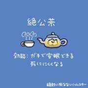 ヒメ日記 2026/09/17 12:01 投稿 むめい コンカフェ×オナクラ あいこねくと