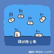 ヒメ日記 2026/09/22 16:45 投稿 むめい コンカフェ×オナクラ あいこねくと