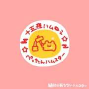 ヒメ日記 2026/09/26 20:03 投稿 むめい コンカフェ×オナクラ あいこねくと