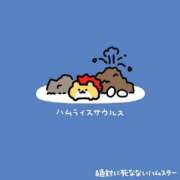 ヒメ日記 2026/09/26 20:15 投稿 むめい コンカフェ×オナクラ あいこねくと