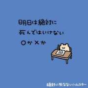 ヒメ日記 2026/09/30 18:00 投稿 むめい コンカフェ×オナクラ あいこねくと