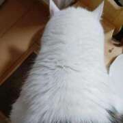 ヒメ日記 2025/12/13 13:26 投稿 あかね(新人割1/7まで) ニュー不夜城