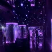 ヒメ日記 2025/12/19 17:26 投稿 あいり AFTER V（アフターファイブ）