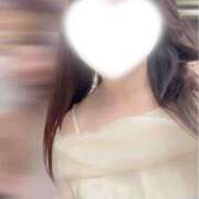 ヒメ日記 2026/02/24 09:00 投稿 ひとか 世界のあんぷり亭 新宿総本店