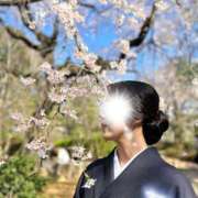 ヒメ日記 2026/03/27 11:50 投稿 琴宮しの セカンドパートナー本店