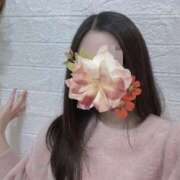 ヒメ日記 2026/03/19 17:57 投稿 かこ 秋葉原鑑賞ガール