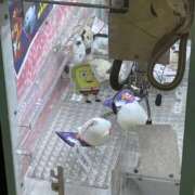 ヒメ日記 2026/03/23 17:37 投稿 かこ 秋葉原鑑賞ガール