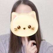 かこ お疲れ様です🍵 秋葉原鑑賞ガール