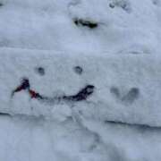 ヒメ日記 2026/01/08 12:40 投稿 みらん【凄テクご奉仕ギャル】 STELLA NEXT－ステラネクスト－