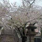 ヒメ日記 2026/04/03 19:52 投稿 まや 熟女デリヘル倶楽部