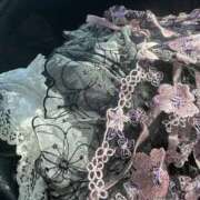 ヒメ日記 2025/12/19 13:25 投稿 さくら おいらん遊郭