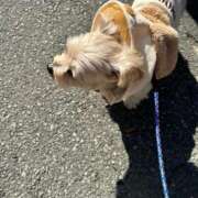 ヒメ日記 2026/01/13 15:25 投稿 さくら おいらん遊郭