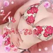 ヒメ日記 2026/02/14 11:55 投稿 さくら おいらん遊郭