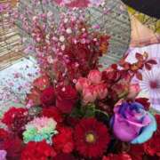 ヒメ日記 2026/04/16 00:05 投稿 さくら おいらん遊郭