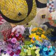 ヒメ日記 2026/04/20 17:25 投稿 さくら おいらん遊郭