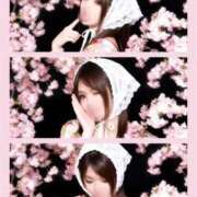 さくら ‎🤍隠し玉‎🤍 おいらん遊郭