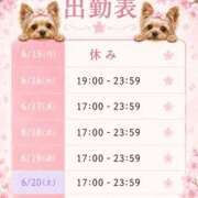 ヒメ日記 2026/06/13 13:08 投稿 さくら おいらん遊郭