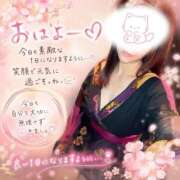 ヒメ日記 2026/07/07 09:12 投稿 さくら おいらん遊郭