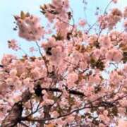 ヒメ日記 2026/02/23 00:33 投稿 えれな ニューヨーカー